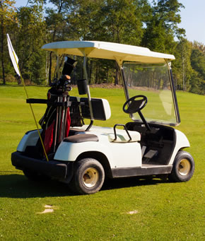 Tracionárias Tracionárias